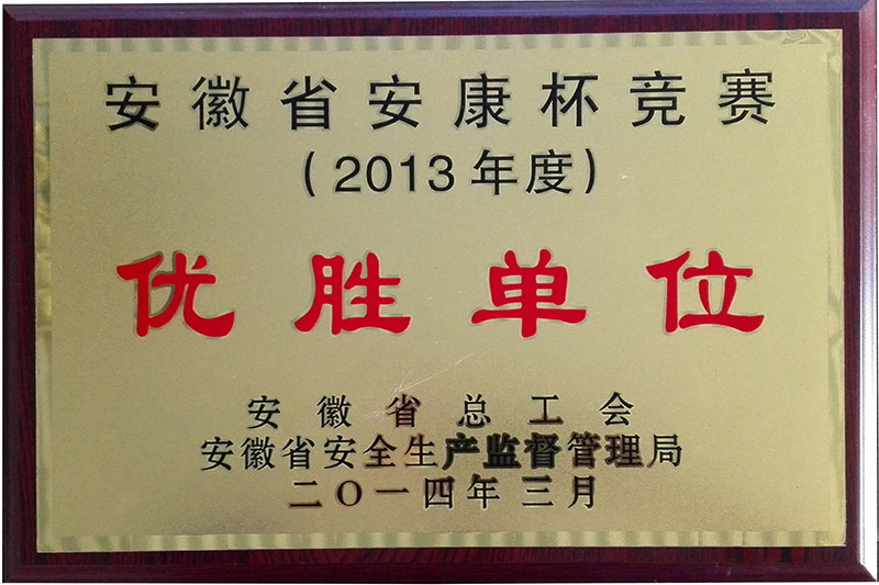 安徽省健康競(jìng)杯賽優(yōu)勝單位