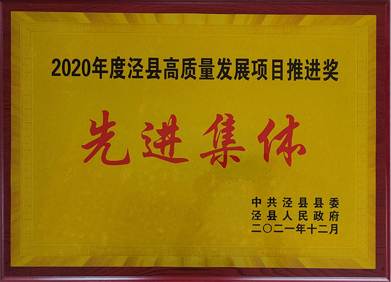 2020年度涇縣高質(zhì)量發(fā)展項目推進獎先進集休